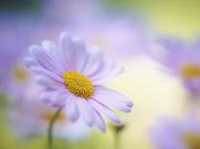 如何优雅地退群：保持关系与个人选择的平衡技