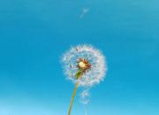 如何自定义键盘布局以满足个人需求？